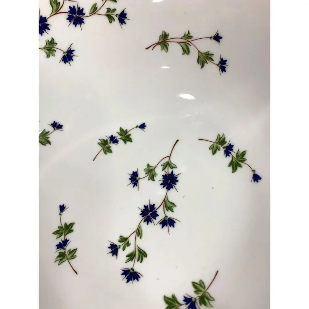 Barbeau by Pillivuyt Centerpiece Serving Bowl Blue Cornflower French Pottery 13